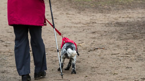 An image of a person's legs walking along a pathway with a dog on a lead and holding a cane.